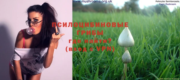 PSILOCYBIN Покачи