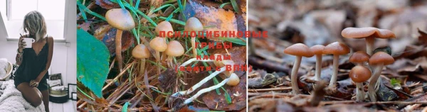 не бодяженный Покровск