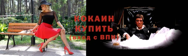 PSILOCYBIN Покачи