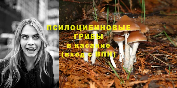 не бодяженный Покровск