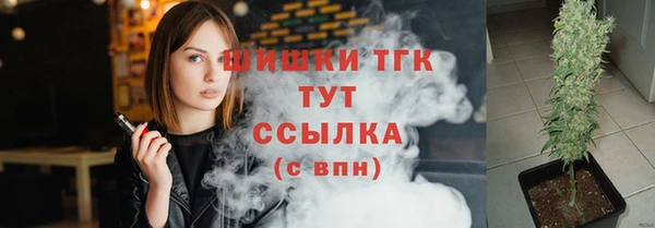 PSILOCYBIN Покачи