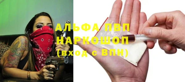 PSILOCYBIN Покачи