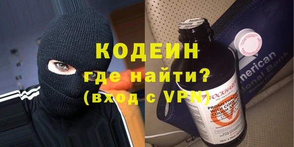сатива Губаха