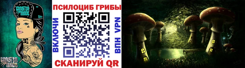 Псилоцибиновые грибы мицелий  Котельниково 